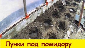 Лунки под помидору