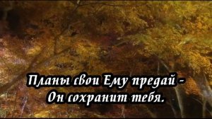 Ксения Лапицкая - Духом не падай