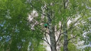 От ЛОВУШКИ до УЛЬЯ.