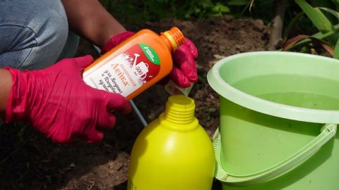 Быстрый эффект. Удобное применение. Удобрение для вашего плодового сада.