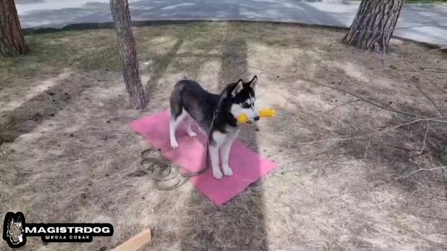 Рин. Пройден третий уровень команды стоять-5 минут (выдержка).