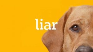 Pedigree представляет: первый в мире детектор лжи для собак