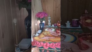 ПОЧЕМУ ОН ИЗ- ЗА ВАС ВЗДРАГИВАЕТ ПО НОЧАМ??!!! / PROTARO 1233