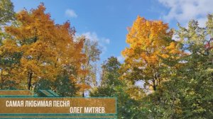 Самая любимая. Олег Митяев (парк Сокольники)