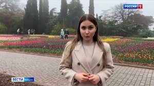 Какой будет погода в Крыму в середине апреля