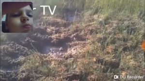 Попробуй не засмеяться с водой ворту