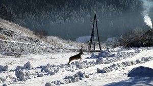 Сибирская Швейцария в Красноярском крае Верхняя Базаиха|Часть  1 Зима|Путешествия