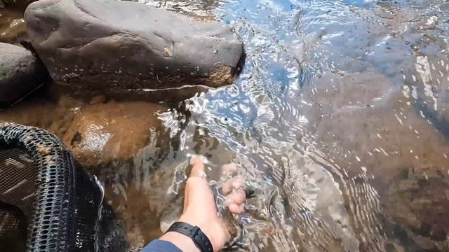 I Used This Keiryu Rod as a Tenkara Rod—Is It Any Good? (Tenkara Fly Fishing) смотреть онлайн