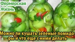 Можно ли кушать зеленые помидоры и что еще с ними делать