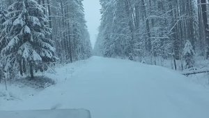 Раменский. Часть 6. Зимняя сказка