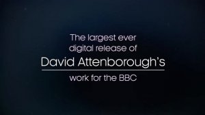 BBC Earth – Story of Life