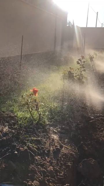 Полив под ключ в Симферополе, Севастополе, Алуште, Ялте, Бахчисарае, Судаке. https://поливкрым.рф смотреть онлайн