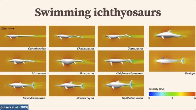 Ichthyosaurs in 3D: Jurassic Ark смотреть онлайн