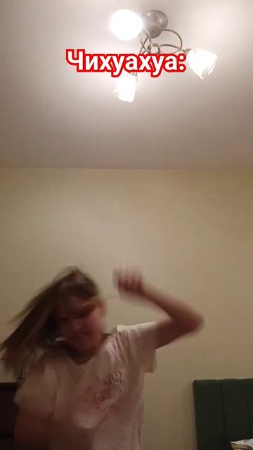 самые опасные собаки смотреть онлайн