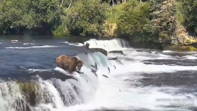 821 catch and release on the lip 7/15/2020 смотреть онлайн