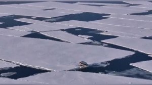 Самый тяжёлый пазл в жизни