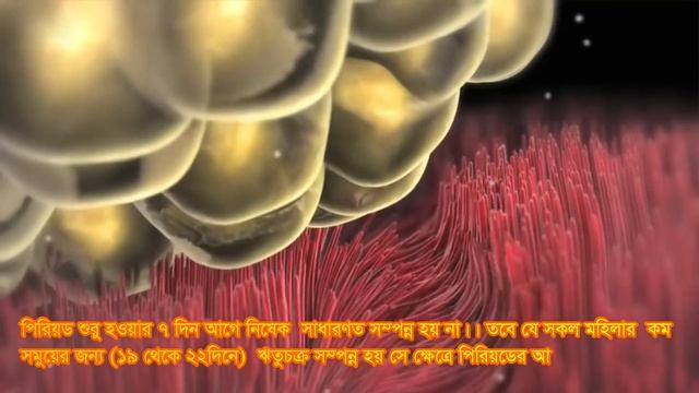 মাসিকের ১ সপ্তাহ আগে সহবাস করলে কি বাচ্চা গর্ভধারণ করে? পিরিয়ডের আগে গর্ভধারণের সম্ভাবনা কতটুকু