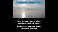 Repeat after the speaker_Water Water Everywhere_for Kids