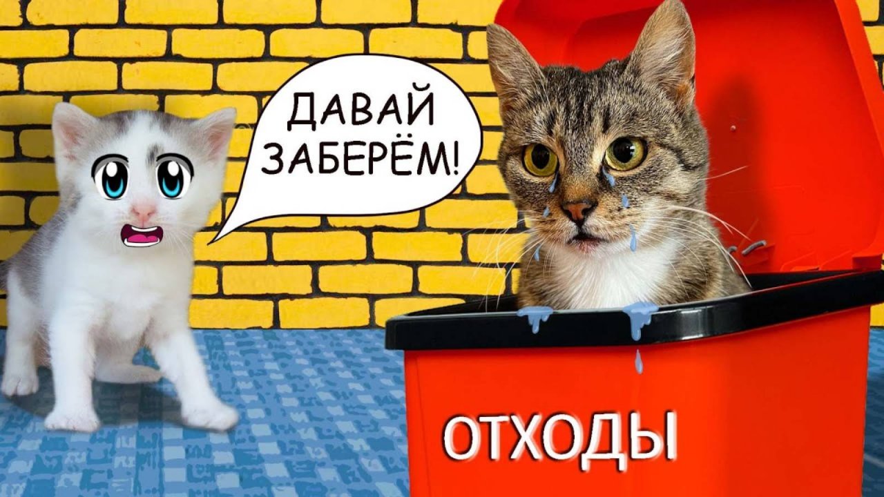 А ну-ка Давай-ка | СПАСЕНИЕ БЕЗДОМНОЙ КОШКИ! ОНА БЕРЕМЕННА! РЕАКЦИЯ КОТА МАЛЫША и КОШЕЧКИ МУРКИ