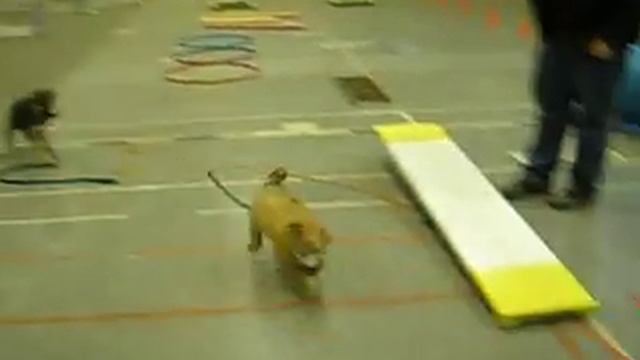 Tara's First Day of School смотреть онлайн