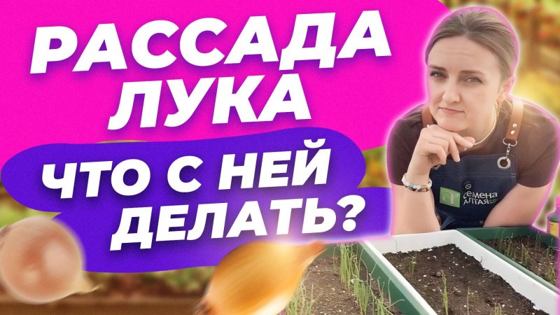 ЧТО ДЕЛАТЬ С РАССАДОЙ ЛУКА