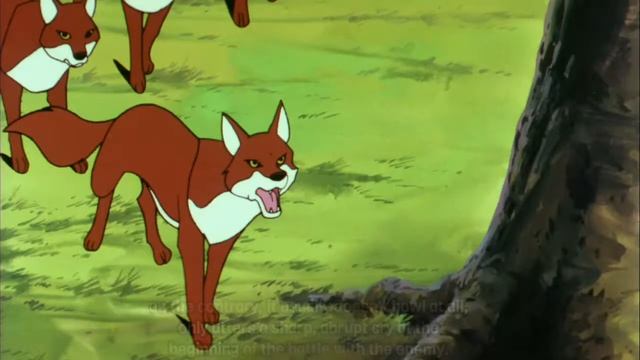 rare red wolves or dholes（cuon alpinus） in Lake Baikal