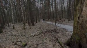 прода из тг! СТРАШНАЯ НАХОДКА В ЛЕСУ! ШКОЛЬНИК ПРОПАЛ БЕЗ ВЕСТИ !