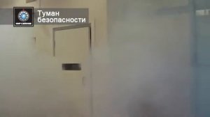 Туман Безопасности