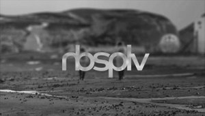 nbsplv - Stolen Kisses