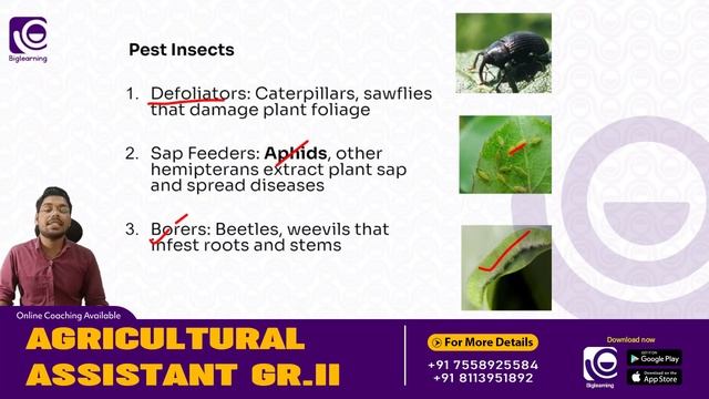 AGRICULTURAL ASSISTANT GR-II  | AGRICULTURAL ENTOMOLOGY | ONLINE COACHING | KPSC