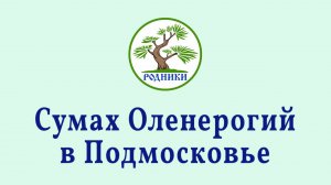 Сумах с 1 по 6 год. Весенняя обрезка