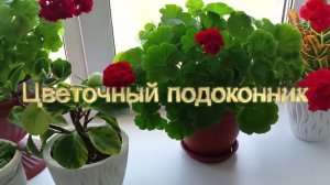 Цветочный подоконник