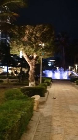 Ня Чанг, Вьетнам, Набережная - фонтан21 февраля 2025. Nha Trang.