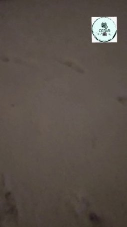 В МОСКВЕ АНАМАЛИЯ СРОЧНЫЕ НОВОСТИ ВСЕ НА ВИДЕО ЕЩЕ МНОГО ЧЕГО НА КАНЕЛЕ ПОДПИШИСЬ БЕСПЛАТНО