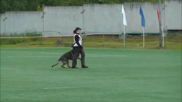 12 - Коротина (90) смотреть онлайн