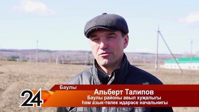 Язгы кыр эшләре
