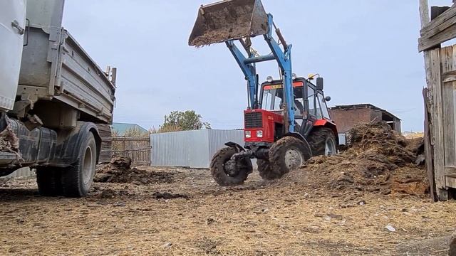 МТЗ-82 с ПКУ-0.8 грузит биоматериал в ЗИЛ 433360