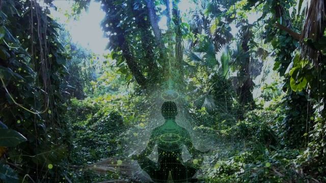 ФОН/ЧАСТОТА 528 Гц /Расслабляющая музыка. Frequency 528 Hz | Relaxing music for meditation and yoga смотреть онлайн