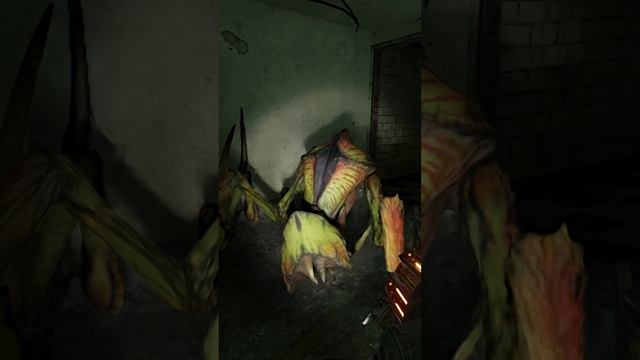 ЧИТ на тараканов - Half-Life 2 RTX