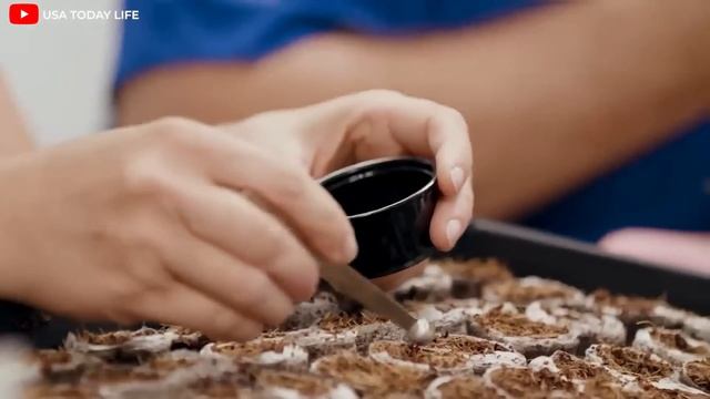 Аэропоника для растений