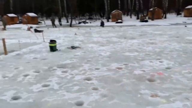 31 декабря 2023 г. смотреть онлайн