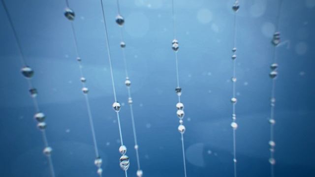 Waterdrops in a Web | Cinema 4D, After Effects and Sony Vegas by David