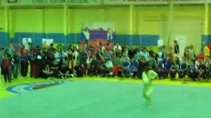 Чемпионат по ушу, апрель 2009 г., Воронеж