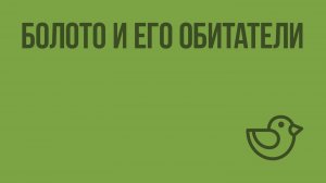 Болото и его обитатели. Видеоурок по окружающему миру 3  класс