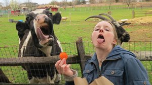 Самый смех, юмор, ржачь 2025. Часть 6.