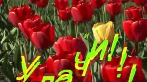 Тамара! С Днем Рождения!