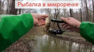Рыбалка в микроречке по колено. Можно ли кого-то поймать?