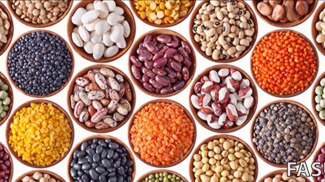 Anila Kalleshi ne Rreze Diell i- Fasulja dhe vlerat e saj смотреть онлайн