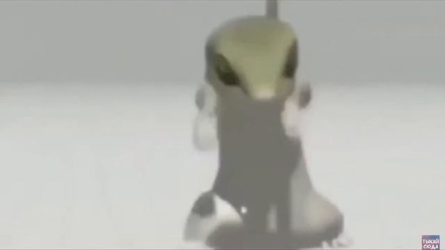 ящер флексит смотреть онлайн