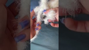 Инструкция по сборочке от BALORI для артикула: 340956336